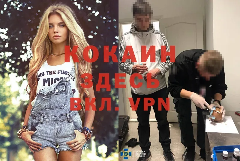 Cocaine FishScale сколько стоит Муром