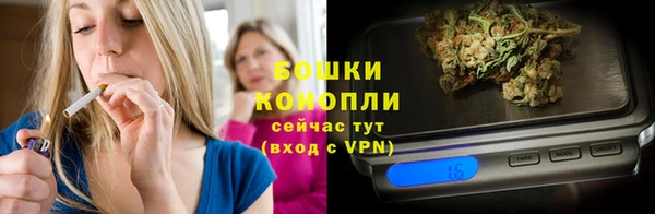 шишки Корсаков