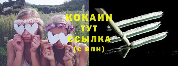 шишки Корсаков