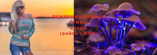 apvp Новозыбков
