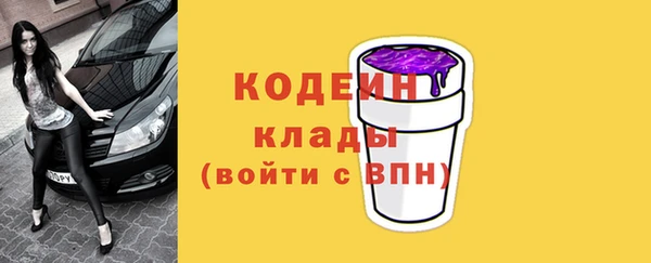 шишки Корсаков