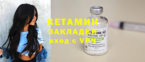 шишки Корсаков