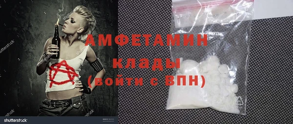 шишки Корсаков