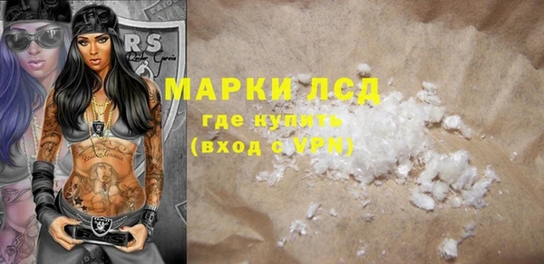 шишки Корсаков