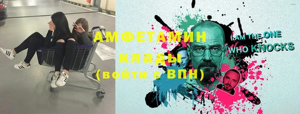 шишки Корсаков