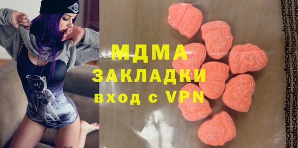 шишки Корсаков