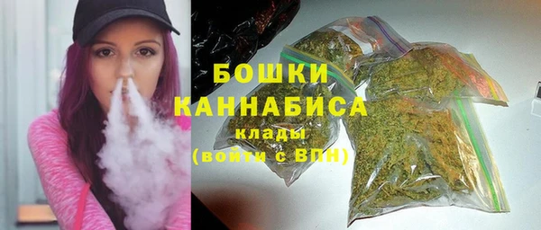 шишки Корсаков