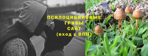 шишки Корсаков