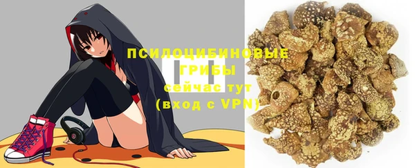 apvp Новозыбков