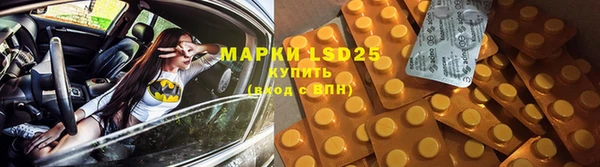 apvp Новозыбков