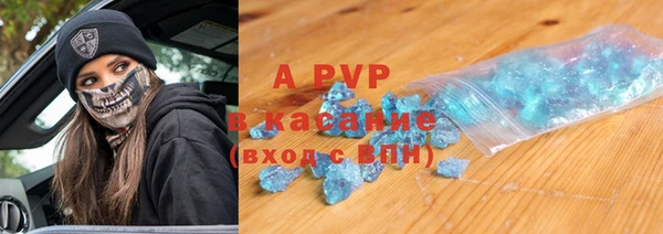 шишки Корсаков