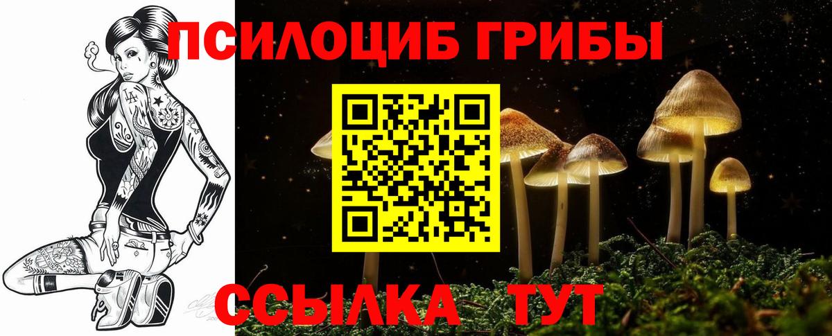Псилоцибиновые грибы Magic Shrooms  Вход с VPN  хочу   Муром 